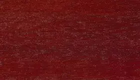 Образец № 25