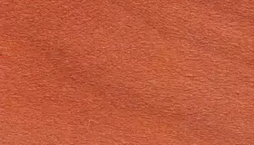 Образец № 13